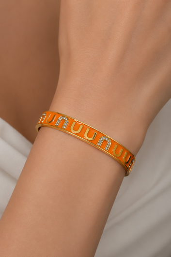 Radiant Enamel Stainless Steel Bangle